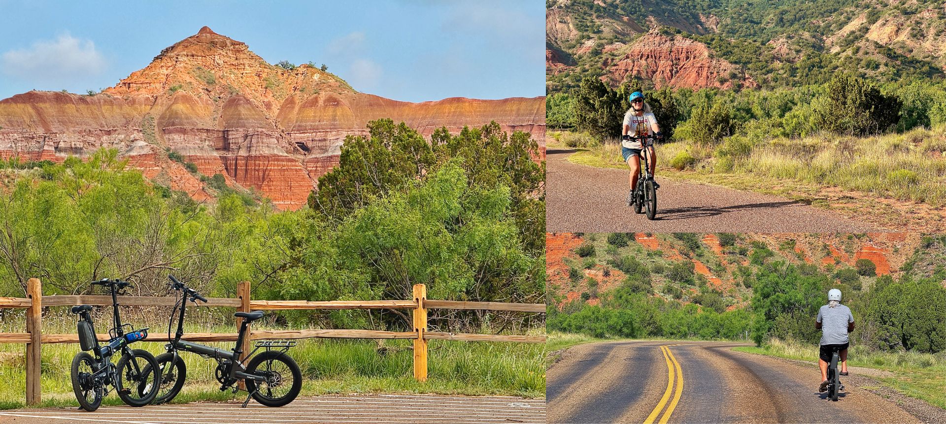 Elderly couple traveling with pets on qualisports dolphin folding e-bikes