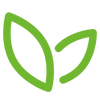 Green butterfly logo on a white background