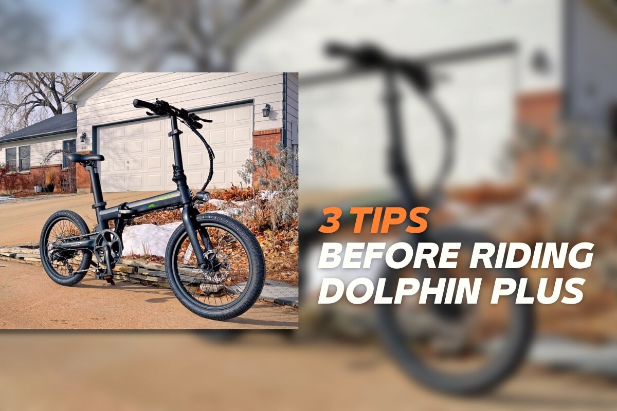 Dolphin Plus: Some Tips You May Interested in Before the Riding Qualisports USA