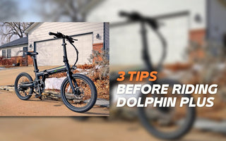 Dolphin Plus: Some Tips You May Interested in Before the Riding Qualisports USA