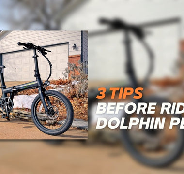 Dolphin Plus: Some Tips You May Interested in Before the Riding Qualisports USA