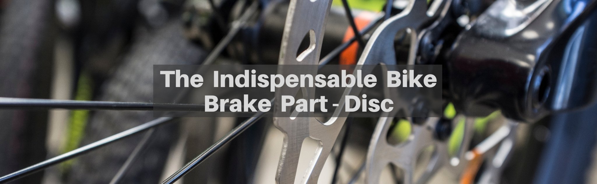 The Indispensable Bike Brake Part - Disc Qualisports USA