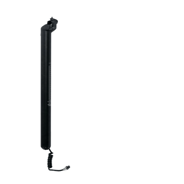 Do You Really Need the Dual-Battery Dolphin PLUS Folding Electric Bike?