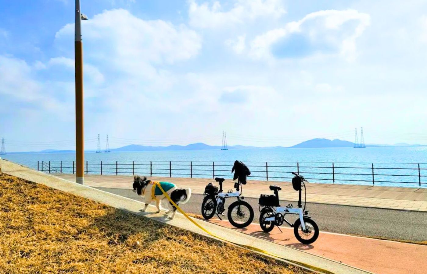 qualisports lightweight folding electric bike