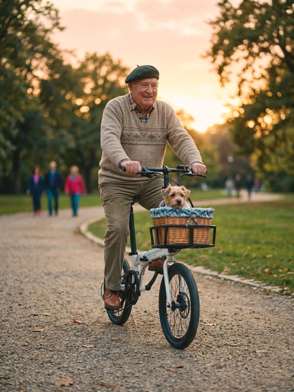 Volador step-through folding electric bike with front basket, comfortable e-bike for park rides with dog