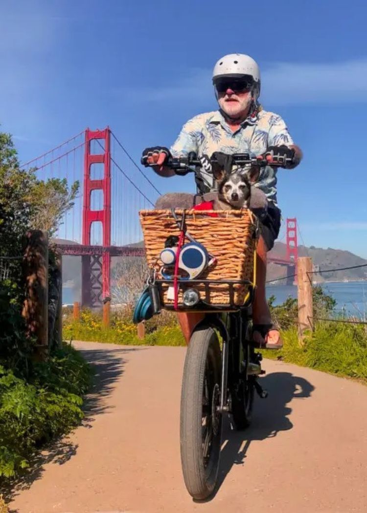 qualisports lightweight folding electric bike with pets