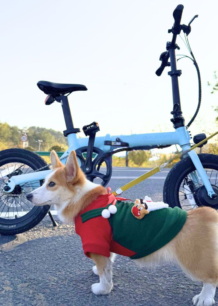 qualisports nemo lightest weight folding electric bike with pets