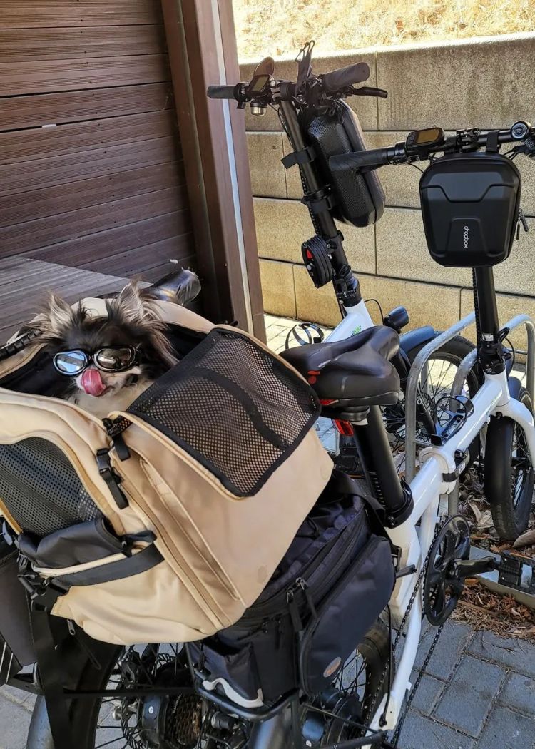 qualisports lightweight folding electric bike with pets