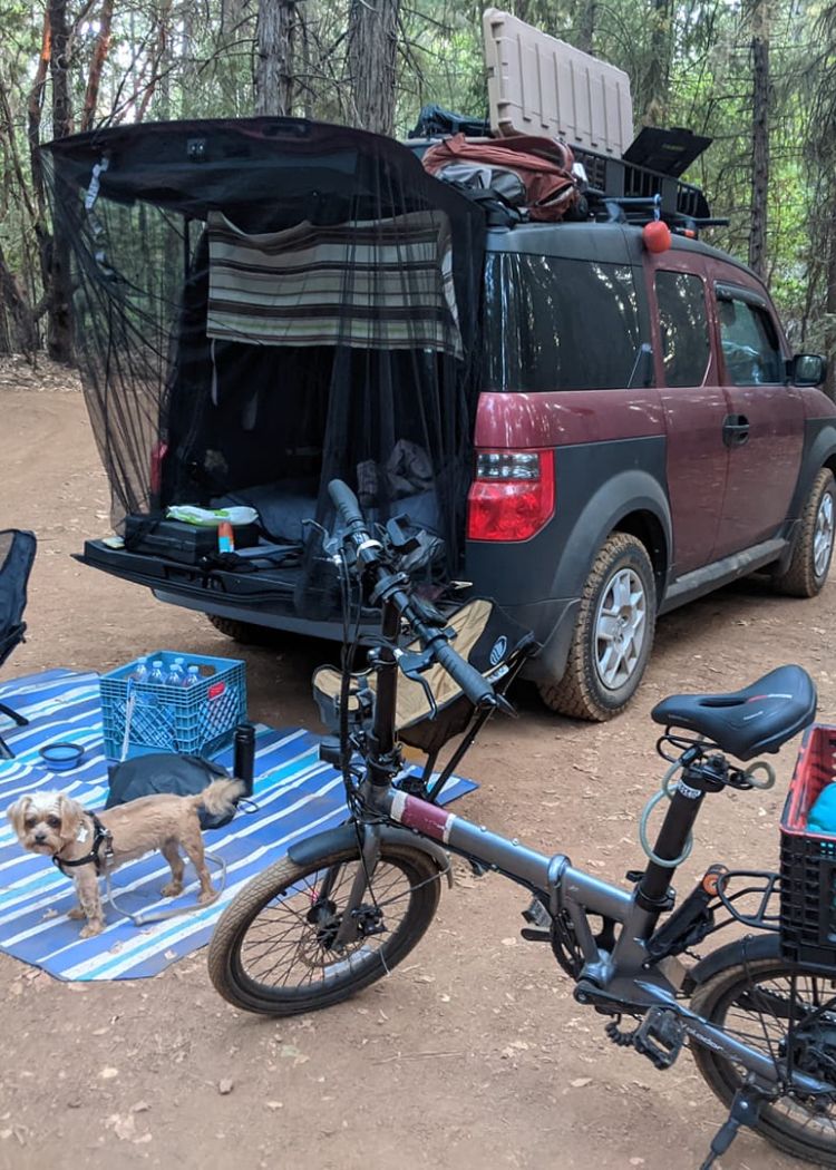 qualisports lightweight folding electric bike with truck and pets