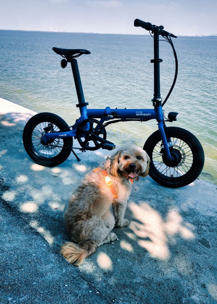qualisports nemo lightest weight folding electric bike with pets