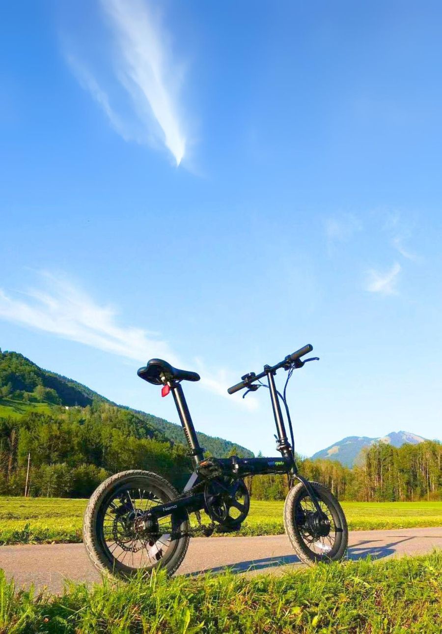 Nemo_folding_ebike in Traveling