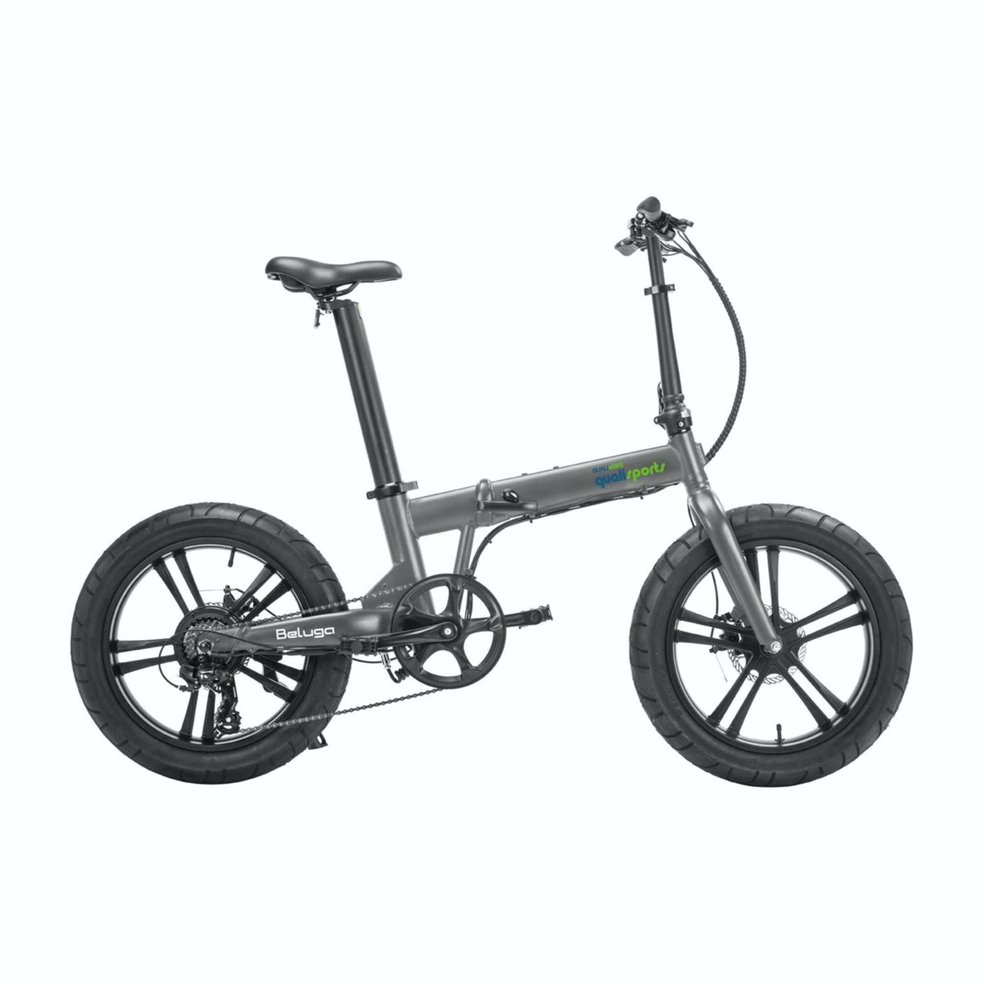 raleigh folding